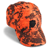 ASLE Blaze